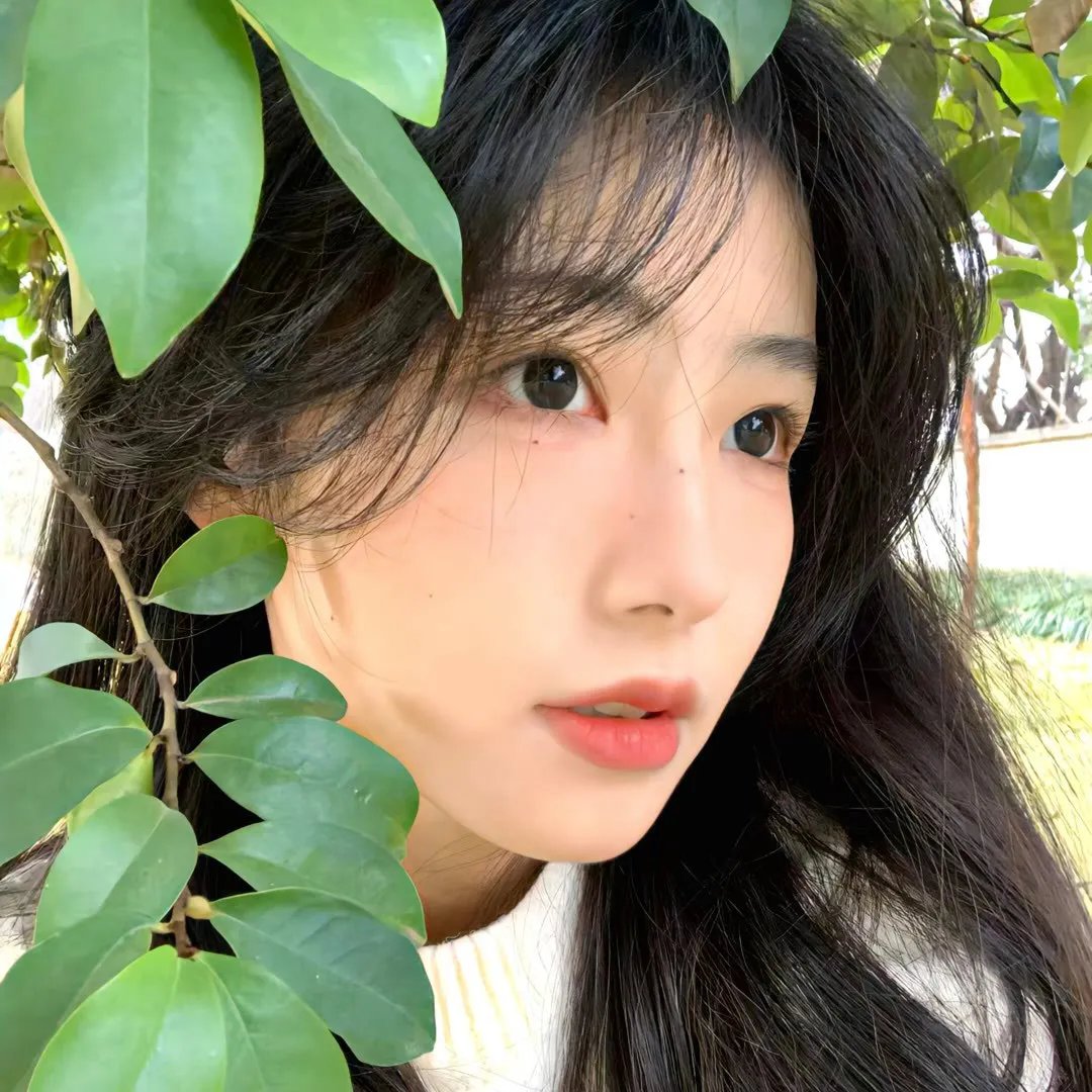 小马的山村日记